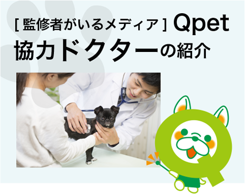Qpet協力ドクターの紹介
