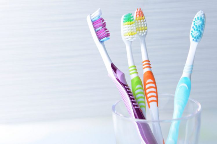 人間用の歯ブラシが並べられている様子