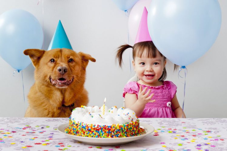 犬と女の子が誕生日ケーキの前にいる様子
