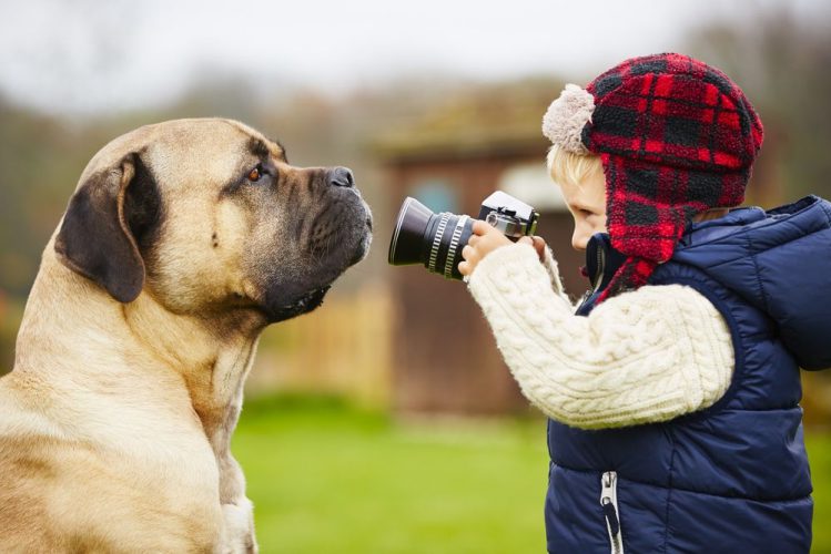 男の子が自分の顔ほどもあるカメラで犬の写真を撮ろうとしている様子