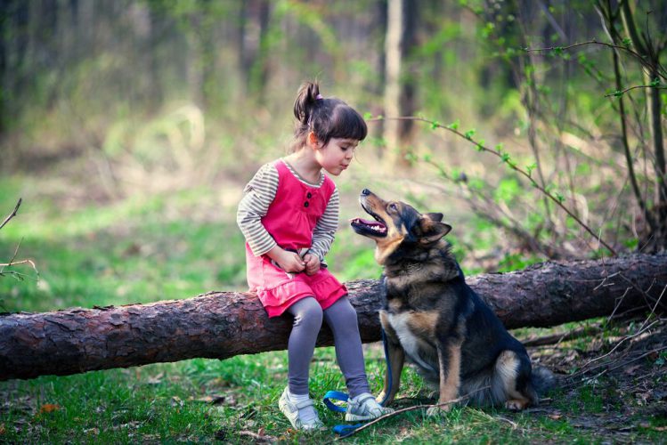 木に座った女の子が犬に何かを話しかけている様子