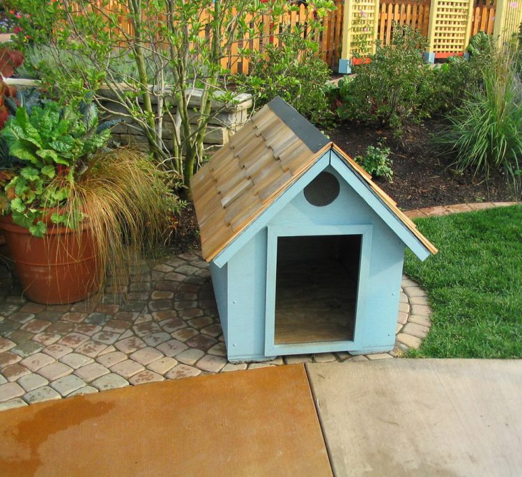 庭に置かれている青い犬小屋