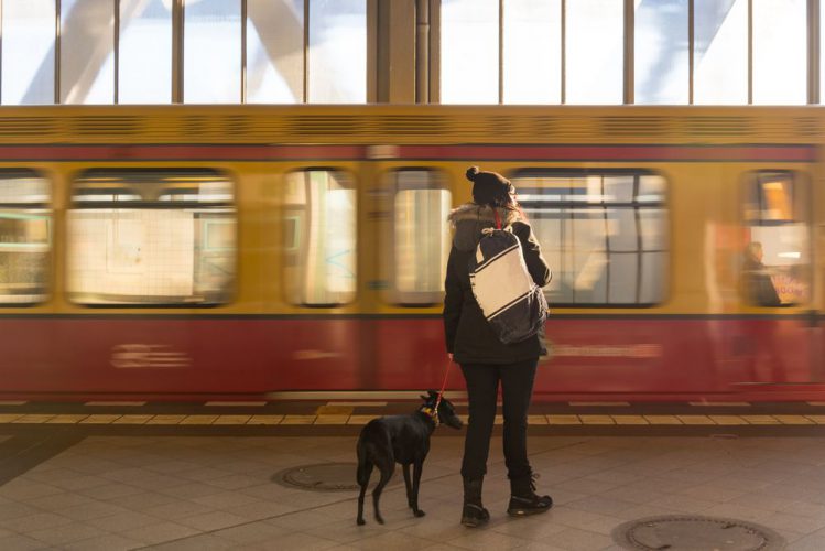 駅のホームに女性と犬が立っている様子