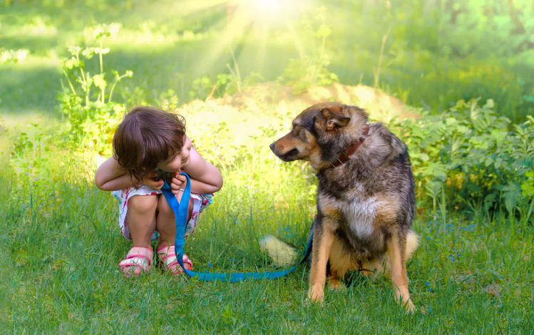 犬と女の子が横向きに向かい合っている様子