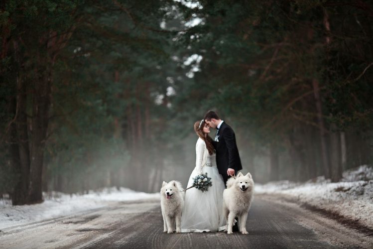 結婚した夫婦と二匹の犬が一緒に居る様子