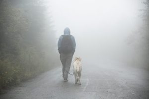 フードをかぶった男性と歩く犬
