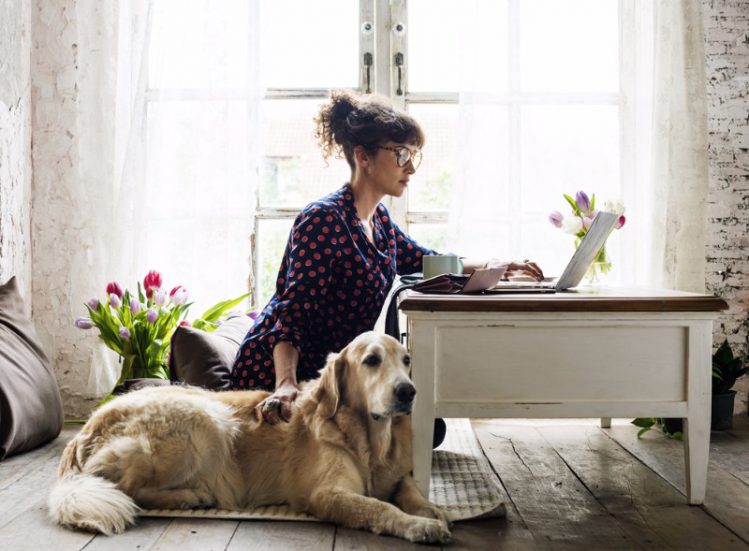 犬の傍で飼い主が何かをメモしている様子