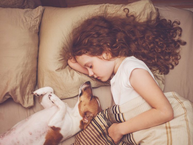 犬と眠る女の子
