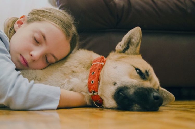犬を抱いて寝る女の子