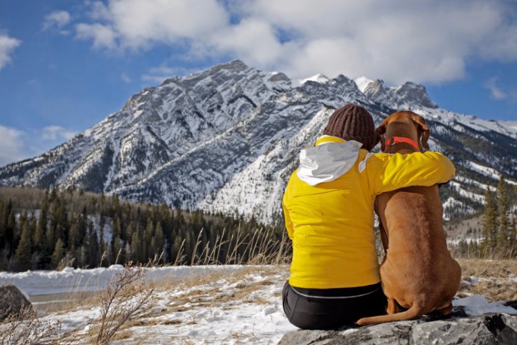 雪山を眺める飼い主と犬