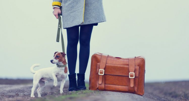 旅行鞄を持った飼い主と犬