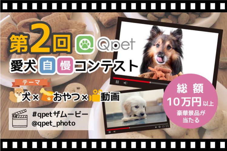 第2回フォトコンテスト（犬×おやつ×動画）結果発表！ハッシュタグ「#Qpetザムービー」