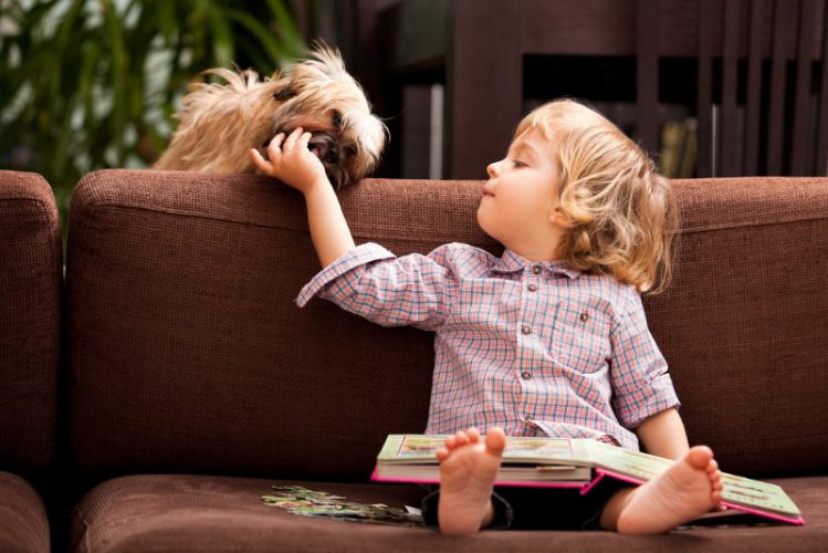 読書する幼児と犬