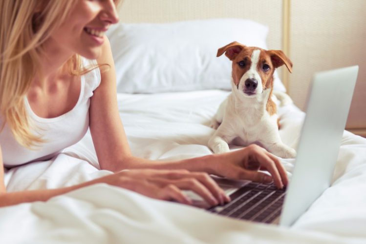 パソコンをする女性と犬