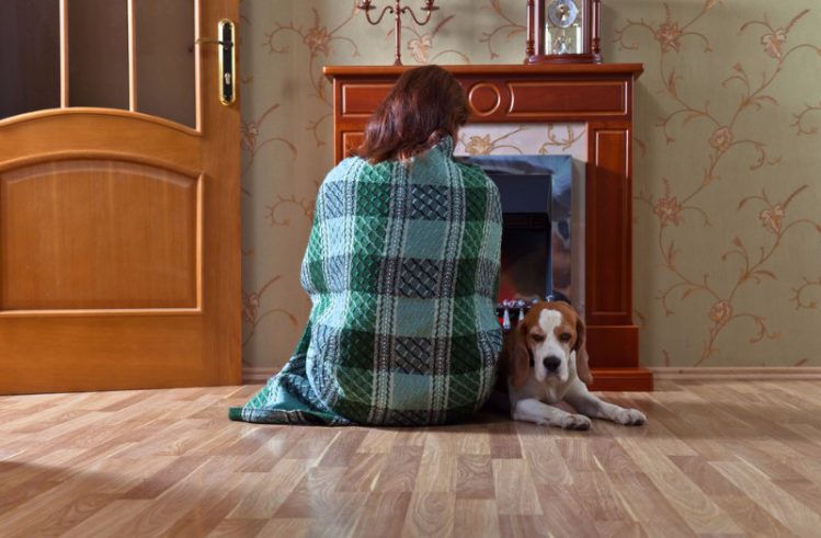 暖炉の前に座る飼い主と犬