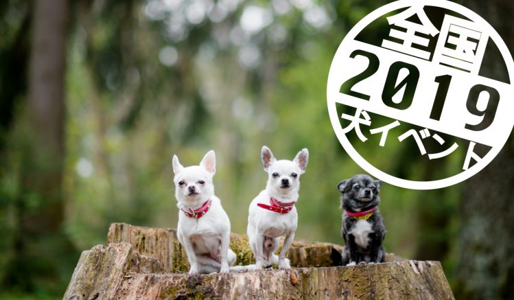 2019年度の犬・ペットのイベントまとめ【全国（地方版）ドッグ・ペットイベント】2月13日更新｜ペットのおでかけ情報