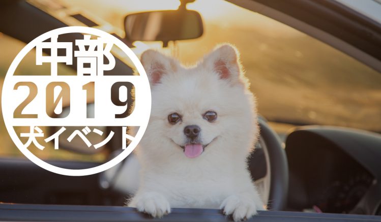 2019年度の犬・ペットのイベント最新まとめ【中部ドッグ・ペットイベント】7月16日更新｜ペットのおでかけ情報