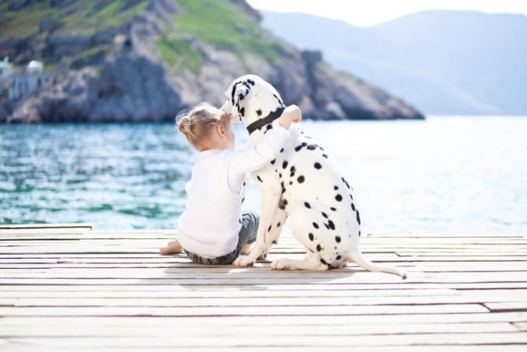 海辺で犬と少女が並んで座っている様子