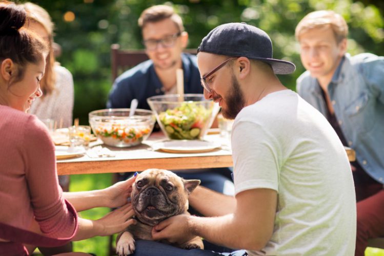 食事会中の男性と犬