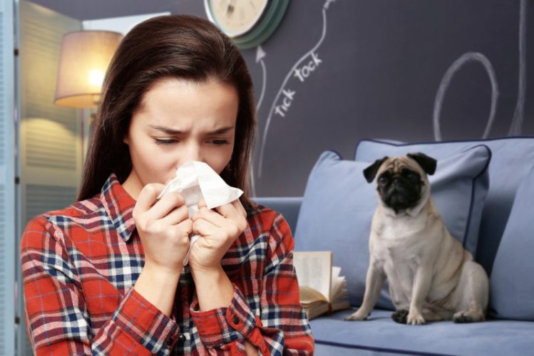 犬アレルギーの知人に飼い主ができる配慮や対策とは？