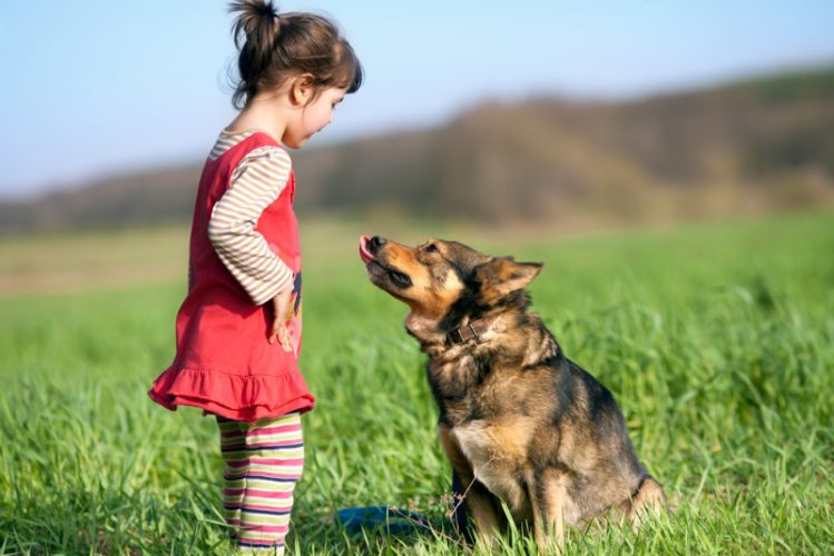 芝生で向き合う少女と犬