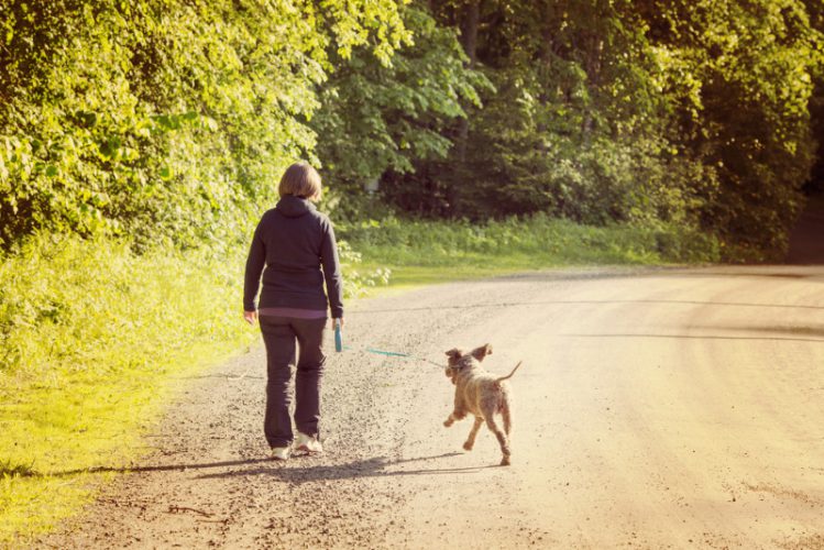散歩中の女性とその愛犬