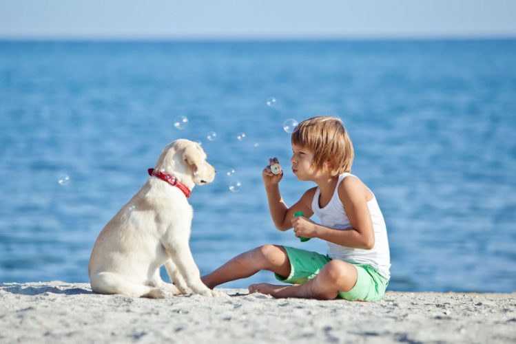 海辺の少年と犬