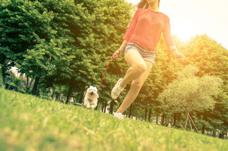 愛犬が幸せを感じる質の高い散歩とは？