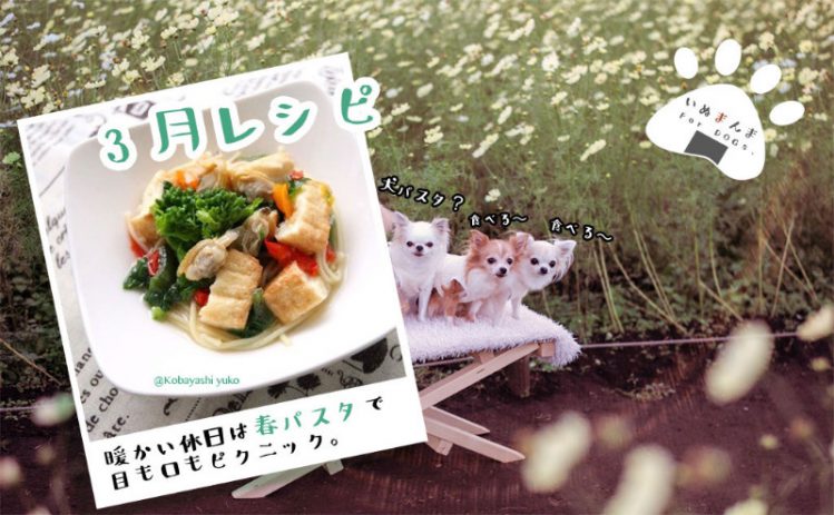 【専門家が解説】【犬のレシピ！3月】春の食材を使ったパスタで身体もリフレッシュ　
