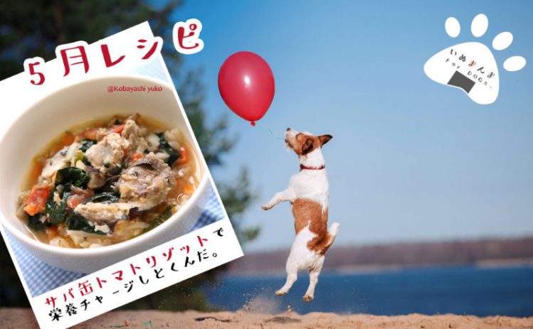 【専門家が解説】【犬のレシピ！5月】トマトを使って初夏にぴったりサバ缶リゾット