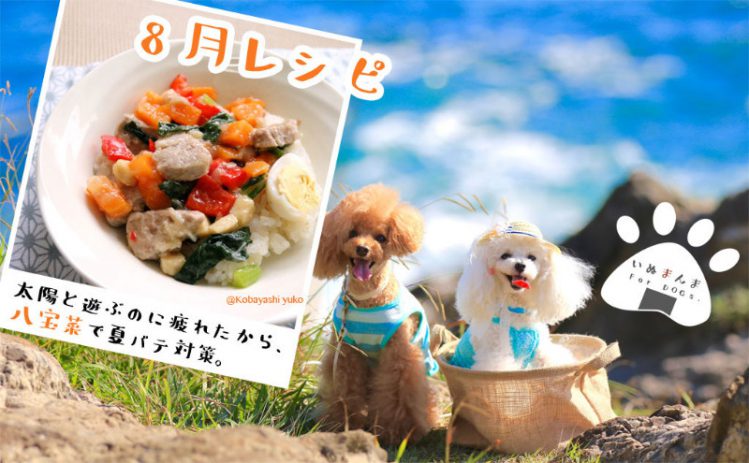 【専門家が解説】【犬のレシピ！8月】「八宝菜」で残暑を元気に乗り切ります