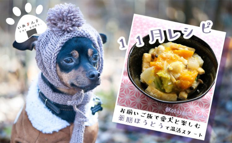 【専門家が解説】【犬のレシピ！11月】お揃いご飯「ほうとう」でほっこり温まります 　