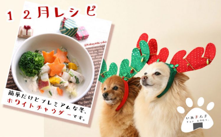 【専門家が解説】【犬のレシピ！12月】「ホワイトチャウダー」でクリスマスモードに