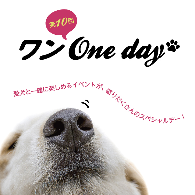 目玉はフレブル大集合！愛犬家イベント「第10回 ワン One day！」が湘南Tサイトで開催！【2018年2月25日(日)】