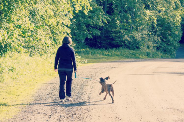 散歩中の女性とその愛犬の後ろ姿