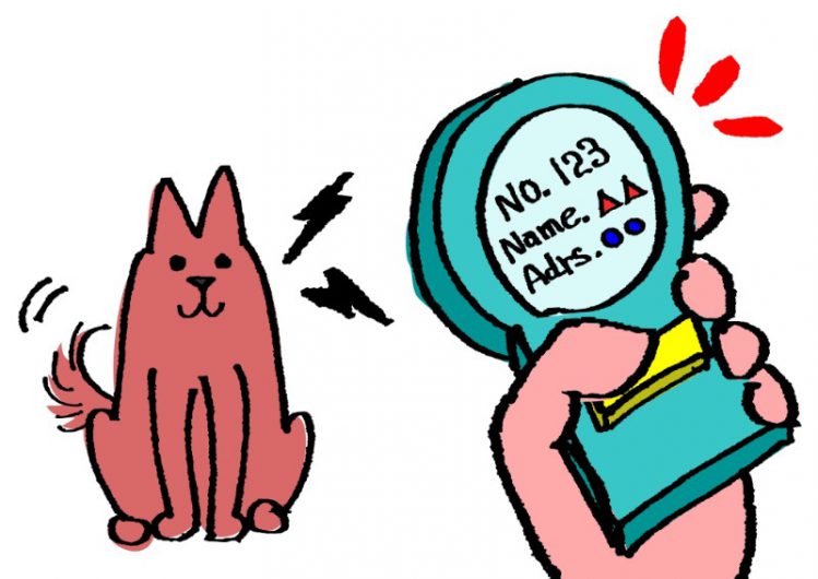 【獣医師監修】犬猫の新常識「マイクロチップ」とは～装着方法・費用など～