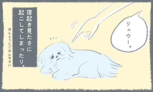 犬あるある漫画【8話】愛犬の寝起きはホントかわいい｜マンガで解説、犬あるある早く言いたい