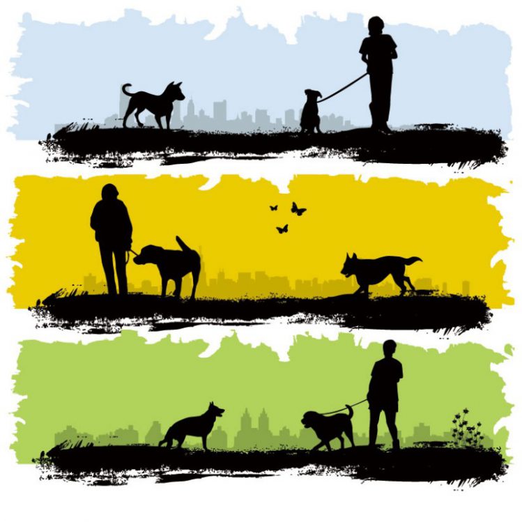 散歩中の男性と犬
