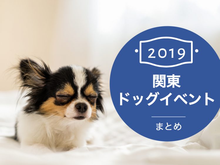 2019年度の犬・ペットのイベント最新まとめ【関東ドッグ・ペットイベント】3月13日更新｜ペットのおでかけ情報
