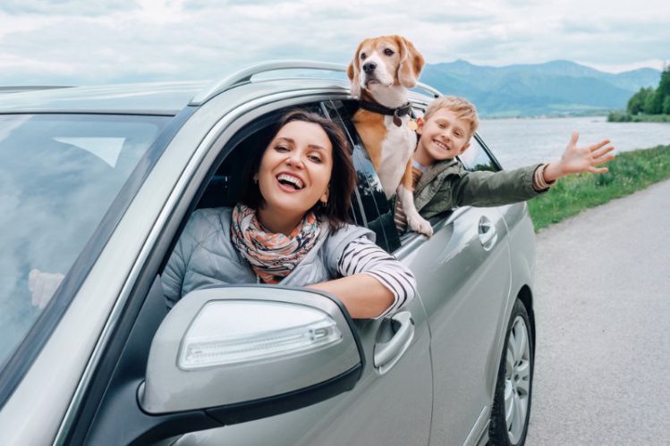 車から顔を出す家族と犬
