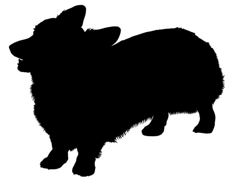 【画像サイトshutterstockで見る】犬のシルエットクイズ！あなたはいくつ分かりますか？