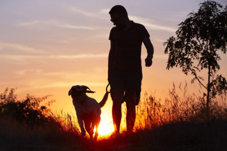 夕日を背に散歩する犬と飼い主