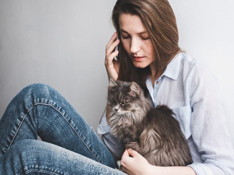 猫を抱いて電話している女性