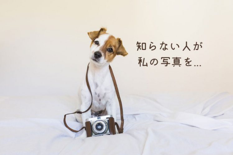 【行政書士が解説！】Q.「SNSに投稿した愛犬の写真が無断で使用された場合、どうすればいいですか？」