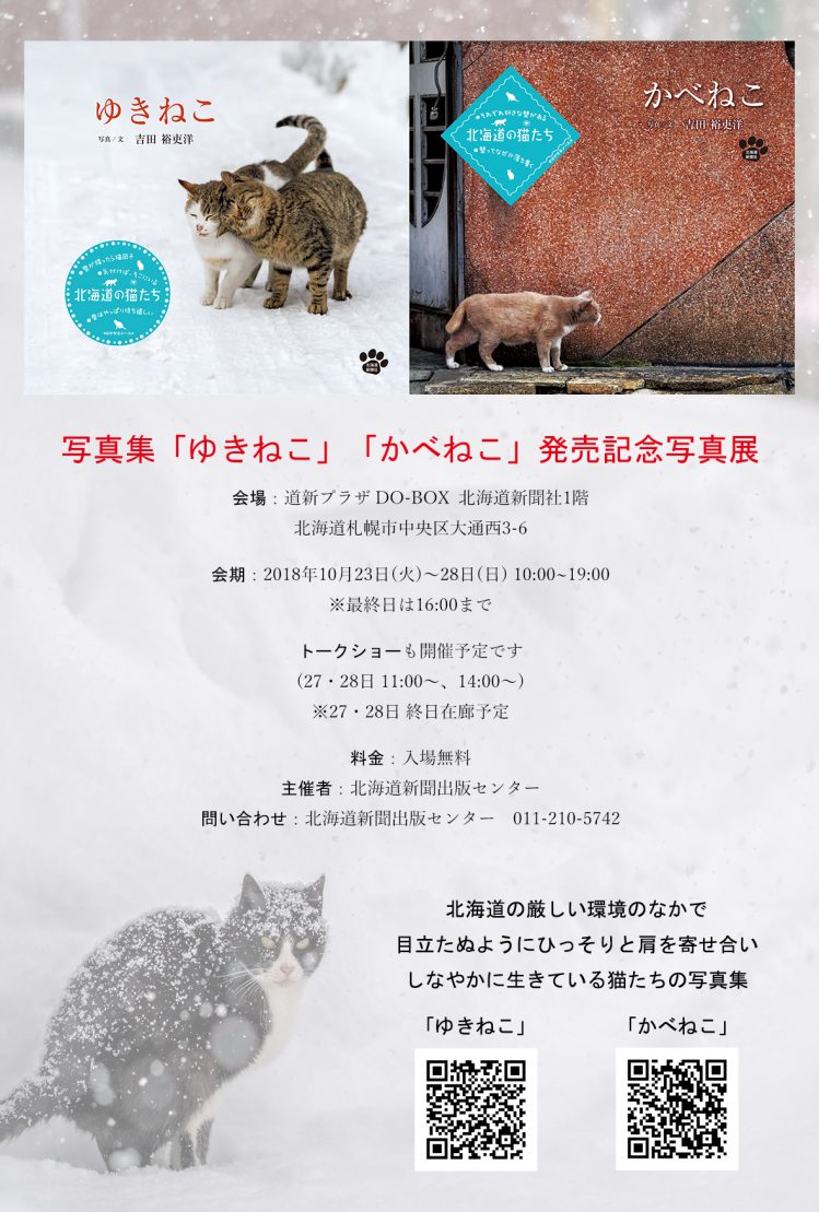 ペットイベント情報 写真集 ゆきねこ かべねこ 発売記念写真展を札幌で開催 Qpet ｷｭｰﾍﾟｯﾄ