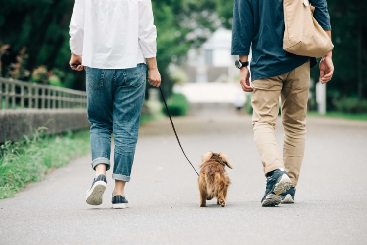 【#withlist】愛犬と散歩している男女の後ろ姿
