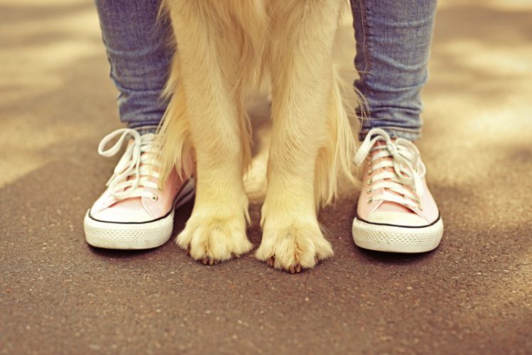 犬の前足と飼い主の足元