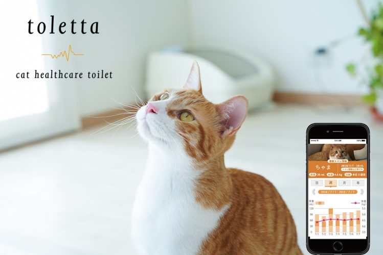 【PR】アプリでいつでも愛猫の体調をチェック！ねこのIoTトイレ「toletta（トレッタ）」